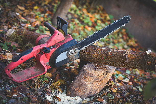 Best Stump Grinding and Removal  in Hansen, ID